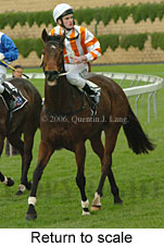 return to scale (15361 bytes)