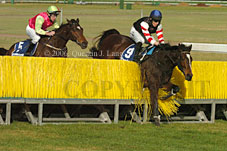 Hiskens series (11039 bytes)