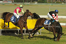 Hiskens series (11039 bytes)