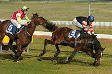 Hiskens series (11039 bytes)