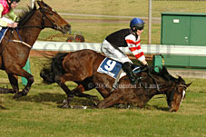 Hiskens series (11039 bytes)