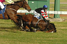 Hiskens series (11039 bytes)