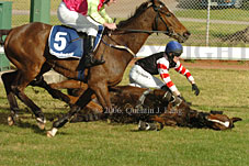 Hiskens series (11039 bytes)