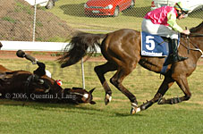 Hiskens series (11039 bytes)