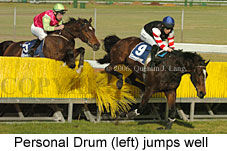 Personal Drum (15465 bytes)