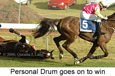 Personal Drum (14872 bytes)