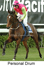 Personal Drum (14872 bytes)