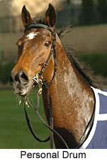 Personal Drum (14872 bytes)