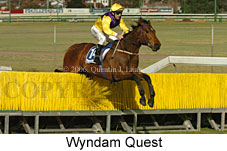 Wyndam Quest (11039 bytes)