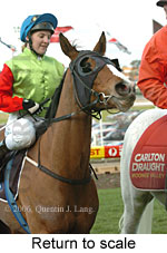 return to scale (11039 bytes)