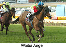 Waitui Angel (14872 bytes)