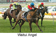 Waitui Angel (14872 bytes)