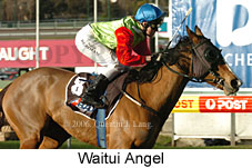 Waitui Angel (14872 bytes)