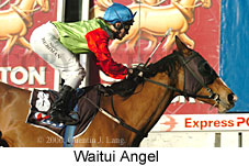 Waitui Angel (14872 bytes)