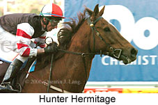 Hunter Hermitage (14872 bytes)