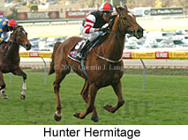 Hunter Hermitage (14872 bytes)