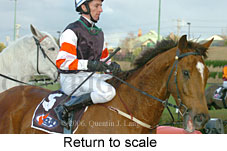 return to scale (11039 bytes)