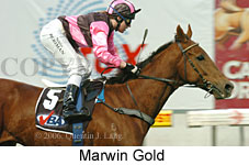 Marwin Gold (14872 bytes)