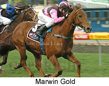 Marwin Gold (14872 bytes)