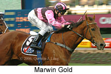 Marwin Gold (14872 bytes)