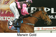 Marwin Gold (14872 bytes)