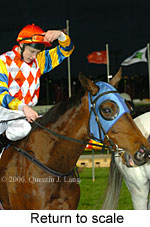 Return to scale (14699 bytes)