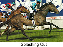 Splashing Out (17134 bytes)