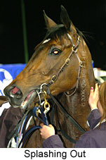 Splashing Out (17134 bytes)