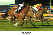 Mercia (17134 bytes)