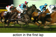 action (14699 bytes)