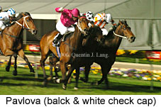 Pavlova (17134 bytes)