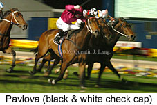 Pavlova (17134 bytes)