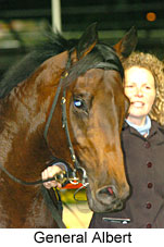 General Albert (17134 bytes)
