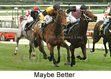 Maybe Better (14872 bytes)