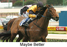 Maybe Better (14872 bytes)