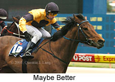 Maybe Better (14872 bytes)