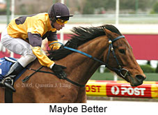 Maybe Better (14872 bytes)