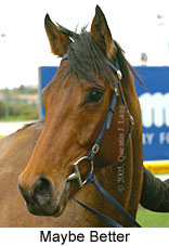 Maybe Better (14872 bytes)