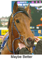 Maybe Better (14872 bytes)