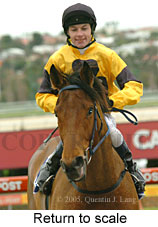 Return to scale (15361 bytes)