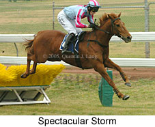 Spectacular Storm (14872 bytes)