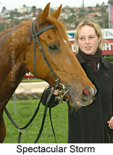 Spectacular Storm (14872 bytes)