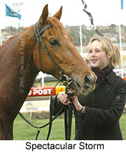 Spectacular Storm (14872 bytes)