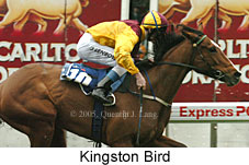 Kingston Bird (14872 bytes)