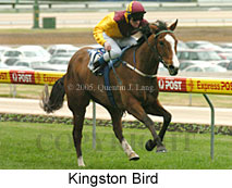 Kingston Bird (14872 bytes)
