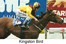 Kingston Bird (14872 bytes)
