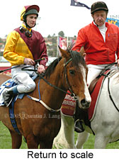 Return to scale (15361 bytes)