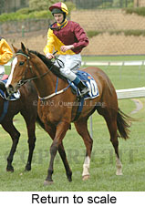 Return to scale (15361 bytes)