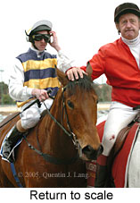 Return to scale (15361 bytes)