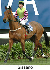 Sissano (14872 bytes)